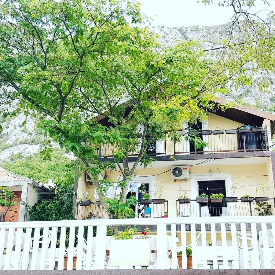 Montenegro Apartmant'S Kotor Eksteriør bilde